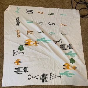 Monthly picture blanket